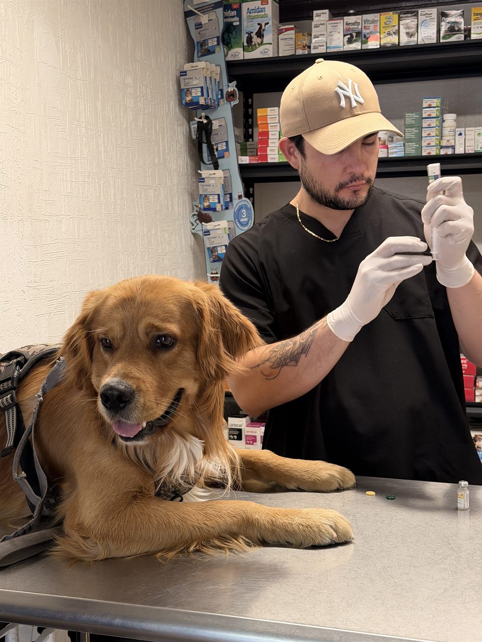 Equipo de NogalVet atendiendo a un golden retriever