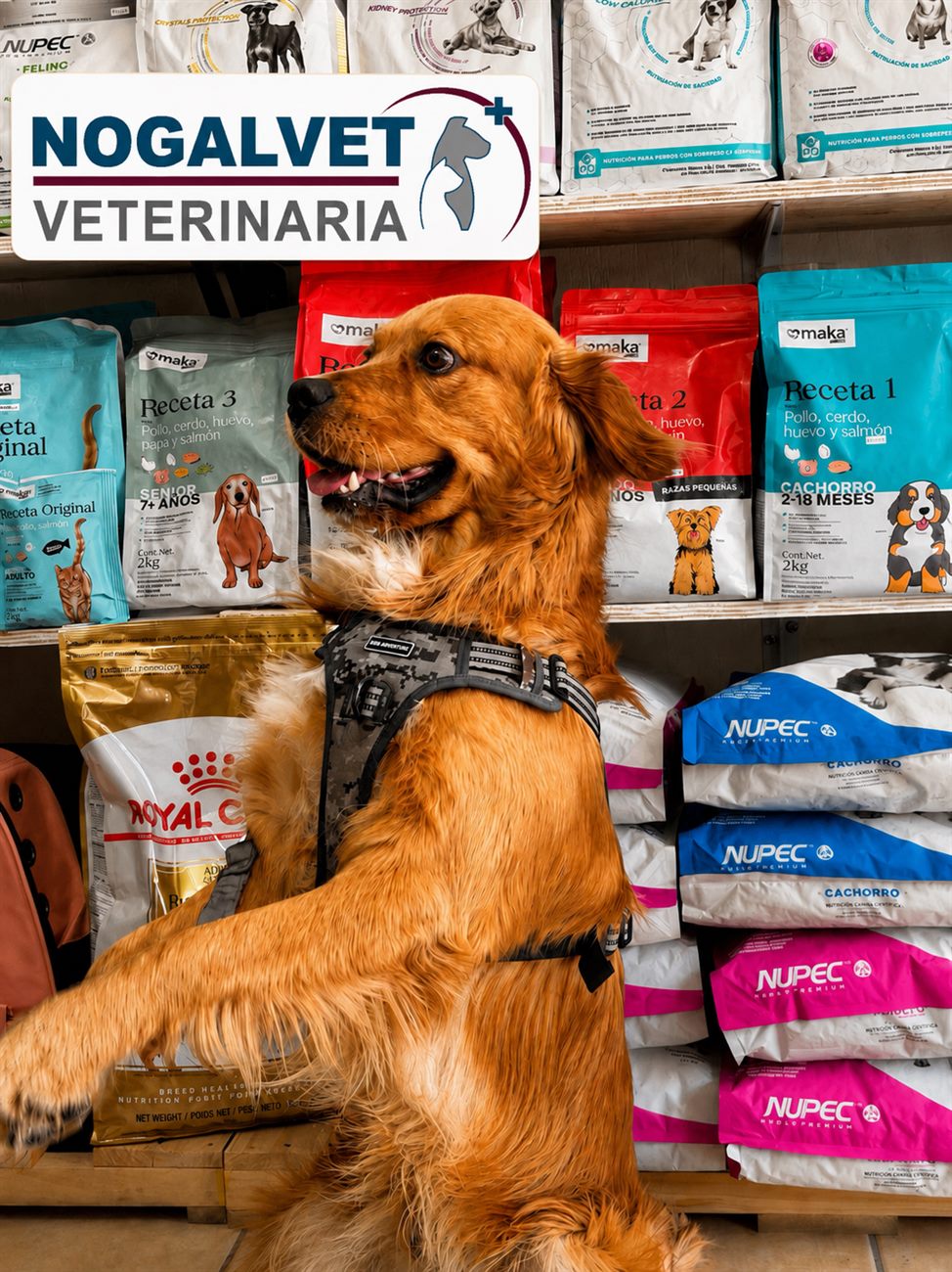 Alimento y productos para mascotas en NogalVet