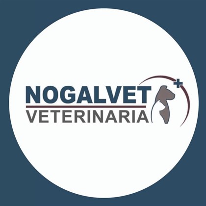Logo NogalVet Veterinaria